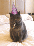 Birthday